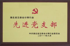 湖北省注冊(cè)會(huì)計(jì)師行業(yè)先進(jìn)黨支部