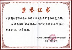 湖北省注冊(cè)會(huì)計(jì)師行業(yè)先進(jìn)基層黨組織